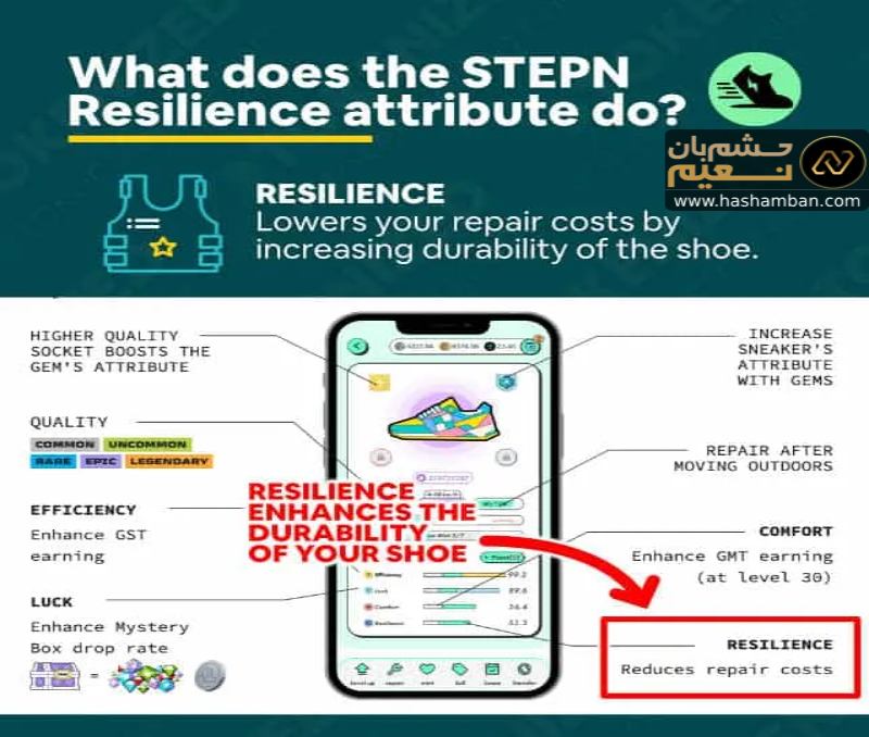 ویژگی انعطاف پذیری (Resilience) کفش های استپن